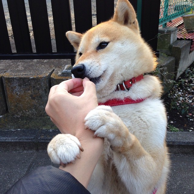 _绿能赛车：绿色动力引领未来运动_，绿能动力新能源科技有限公司