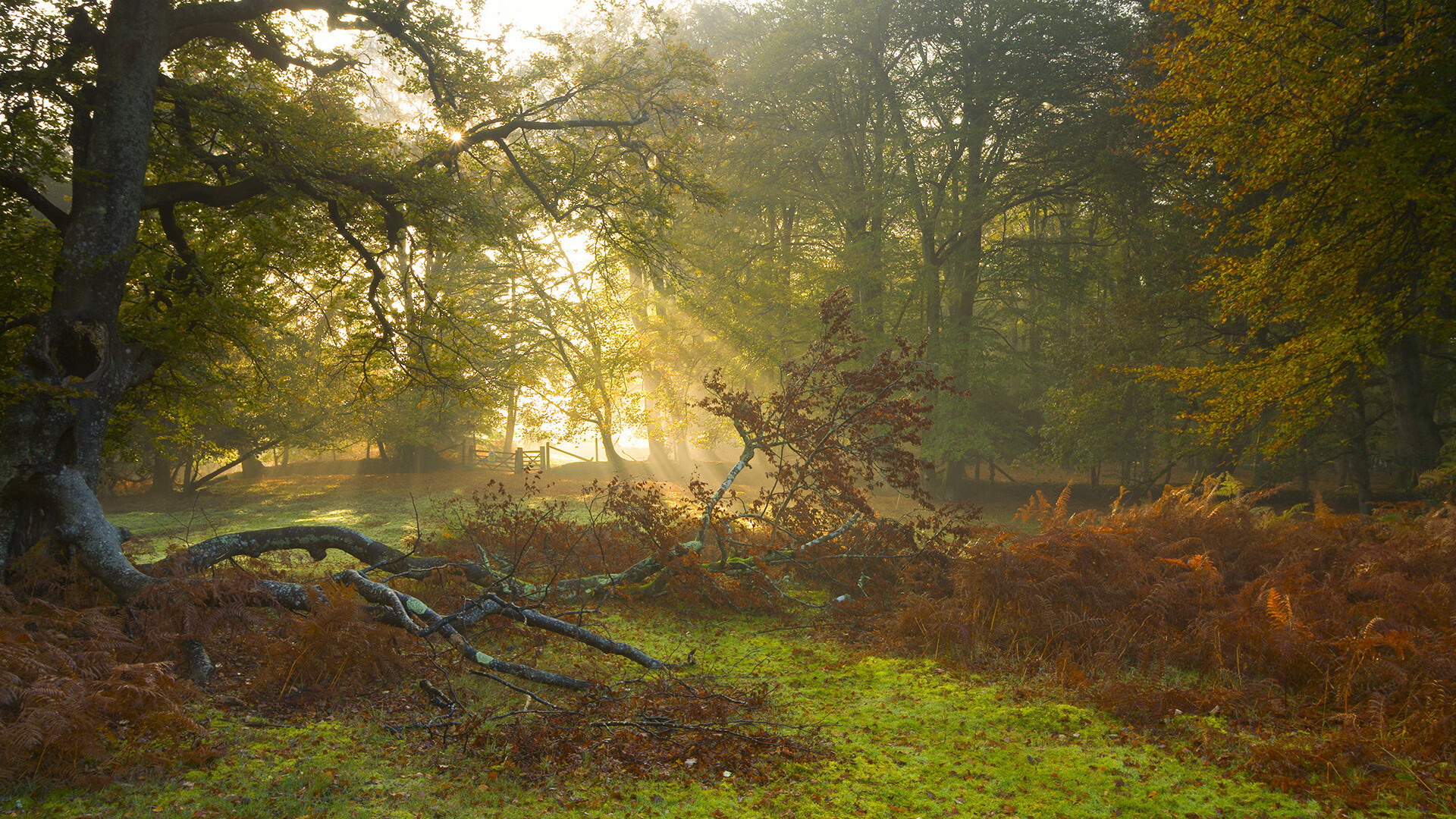 _绿色环保滑梯运动：童趣与环保同行_，滑滑梯户外