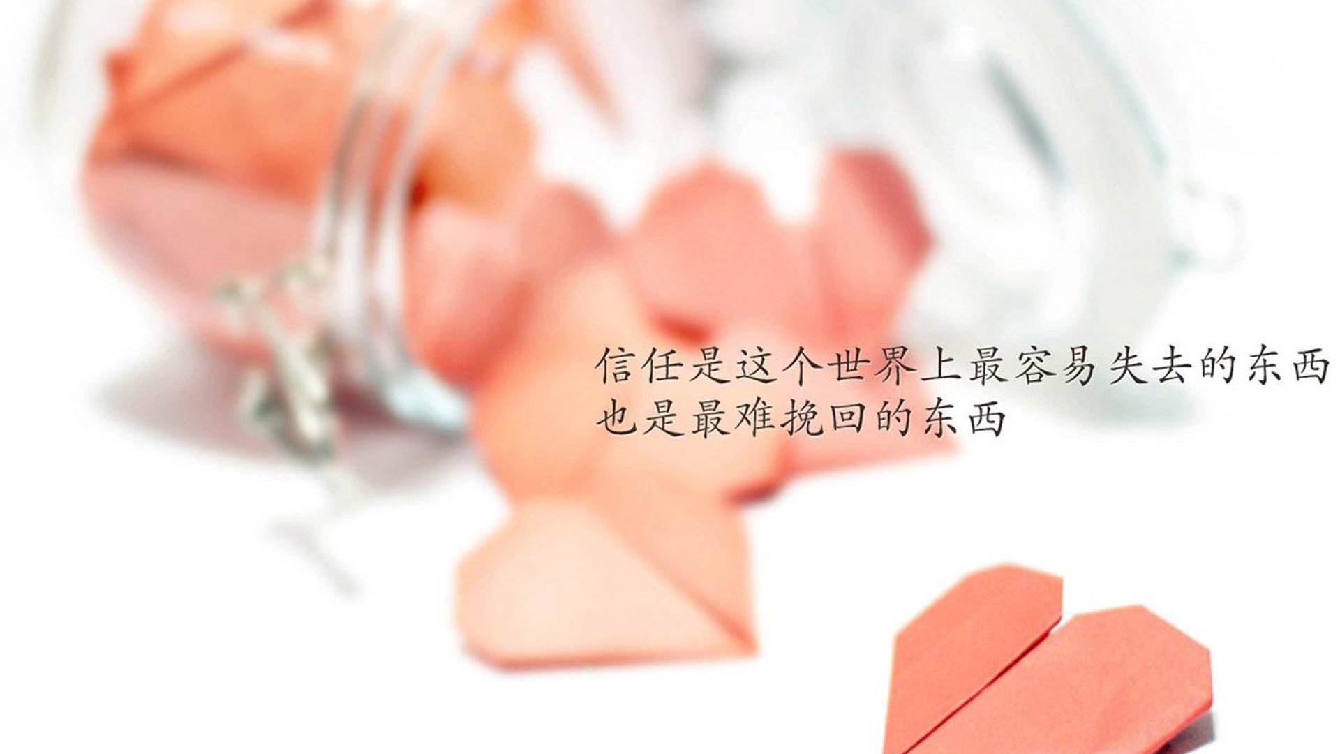 传统武艺光影秀:文化之美在运动中绽放