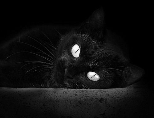 逆转“奇迹之夜”：那些震撼全球的足球传奇时刻，奇迹足球俱乐部