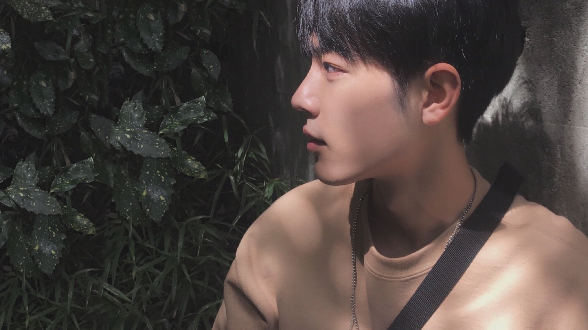 马克斯·维斯塔潘赢得2024年F1世界冠军,f1收官战维斯塔潘夺下杆位