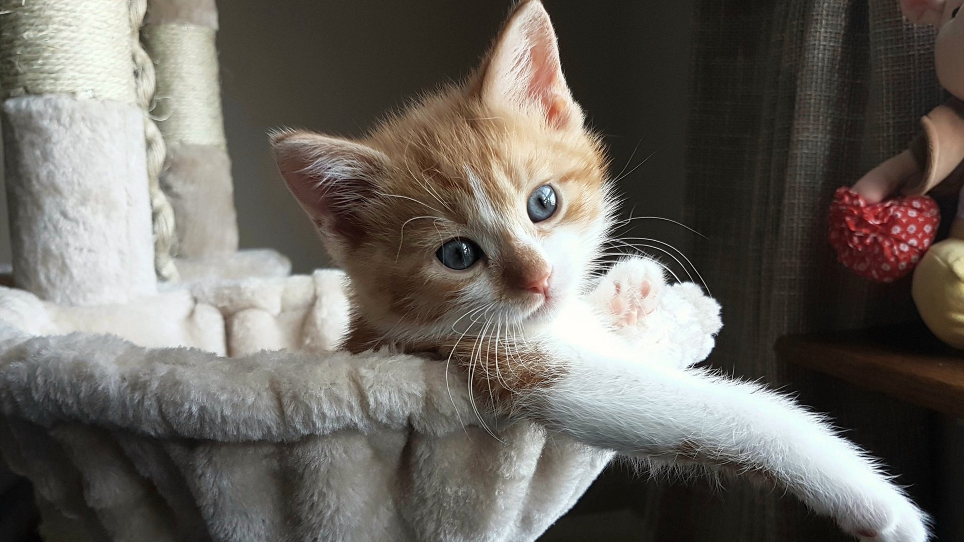 RNG训练营全力备战,rng训练营报名