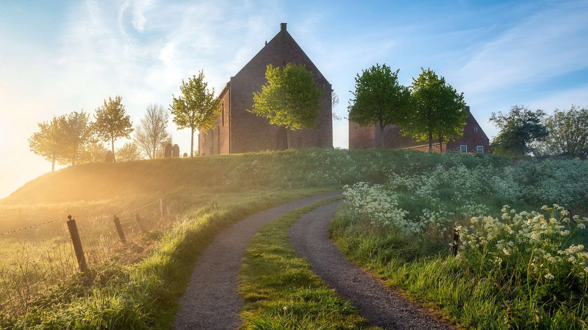 女足世界杯志愿者故事分享,女足世界杯受伤