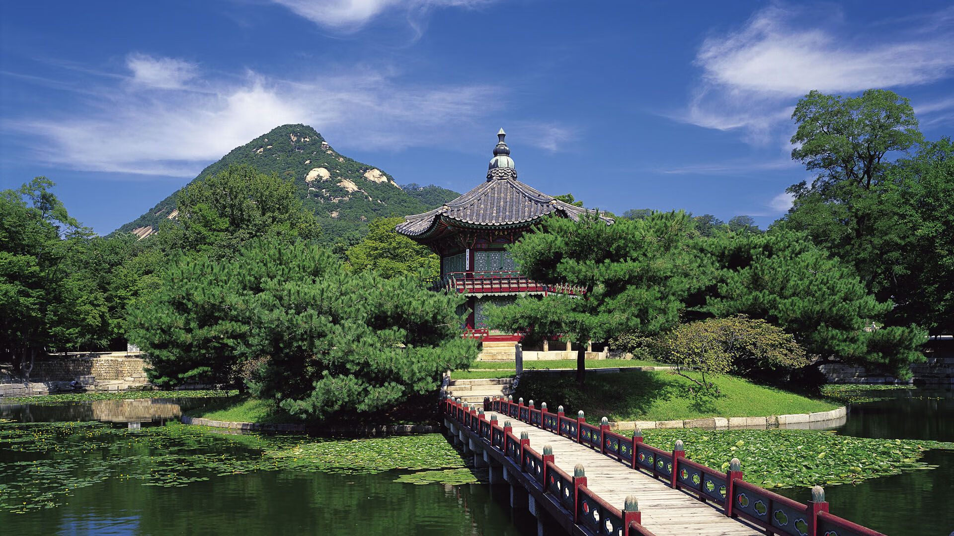 曼联主场战胜狼队,英超联赛中的传统豪门取得胜利,曼联与狼队比赛分析