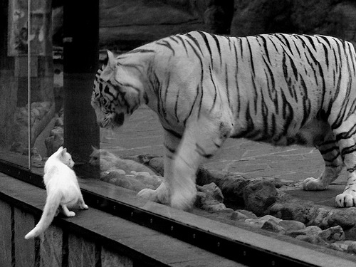 英超青训引入虚拟现实技术强化战术理解，英超青训最好的球队