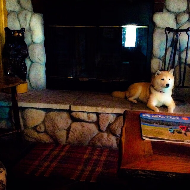 奥运备战科学制定目标计划，奥运备战科学制定目标计划表