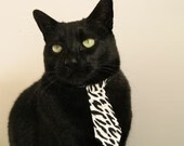 青少年搏击联赛引导安全对抗理念深入人心,青少年搏击比赛规则