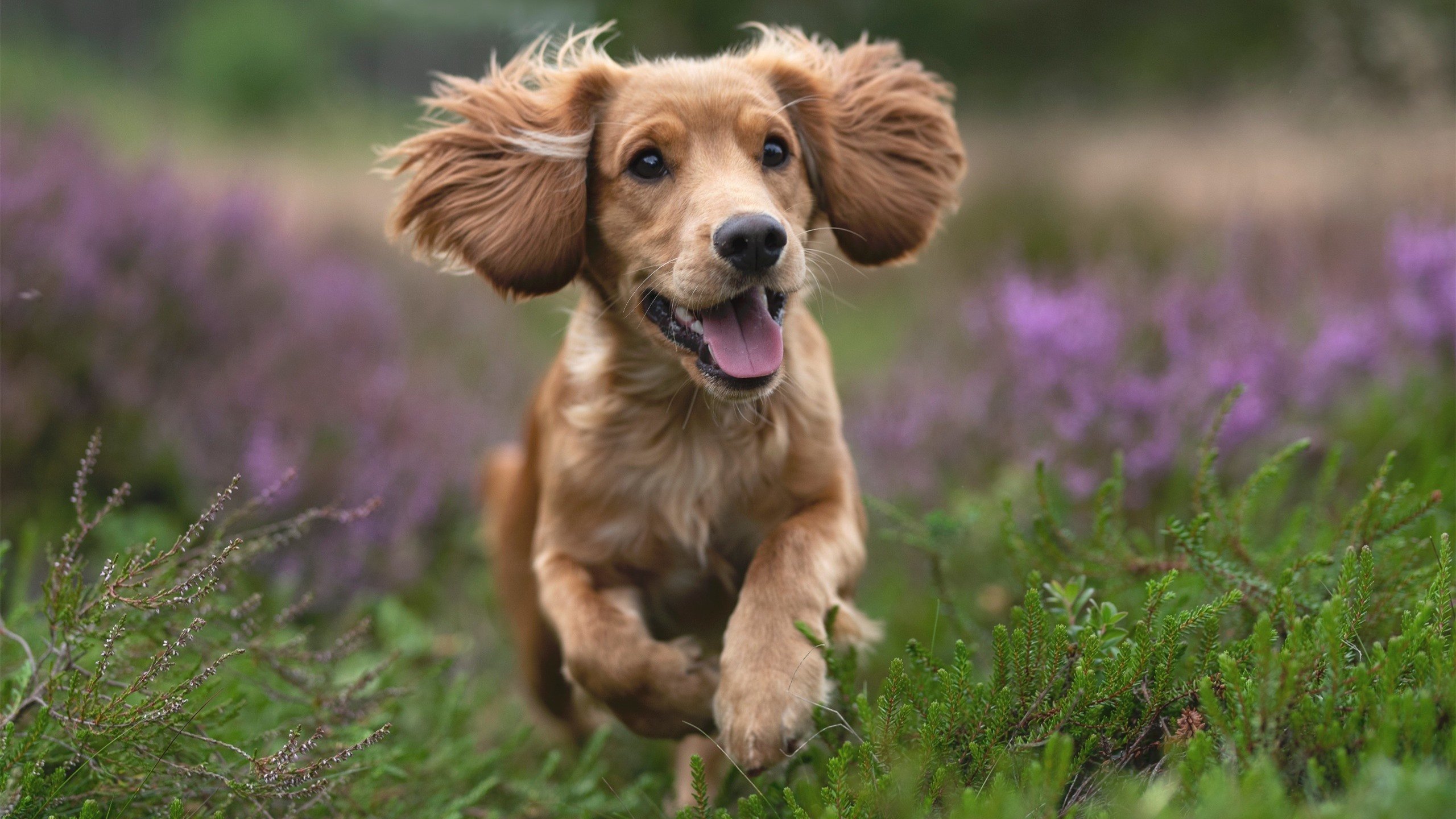 青训后卫选拔标准是否过度依赖身高，后卫的要求