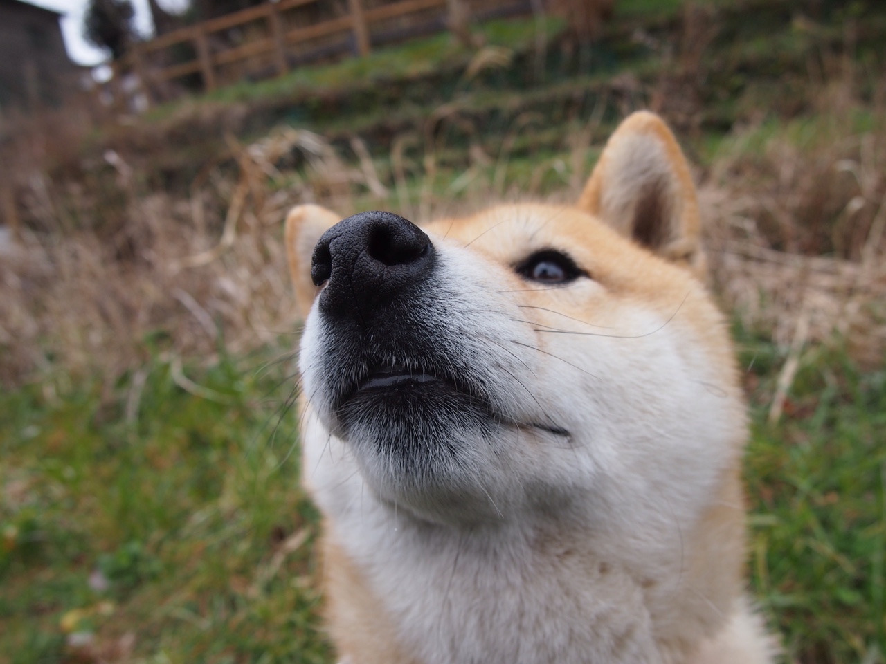 拉尼·帕利斯特冲刺阶段力量十足，帕斯特里尼老板